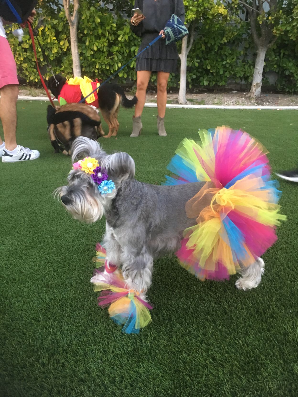 7th Annual “Howl-O-Ween” Party!